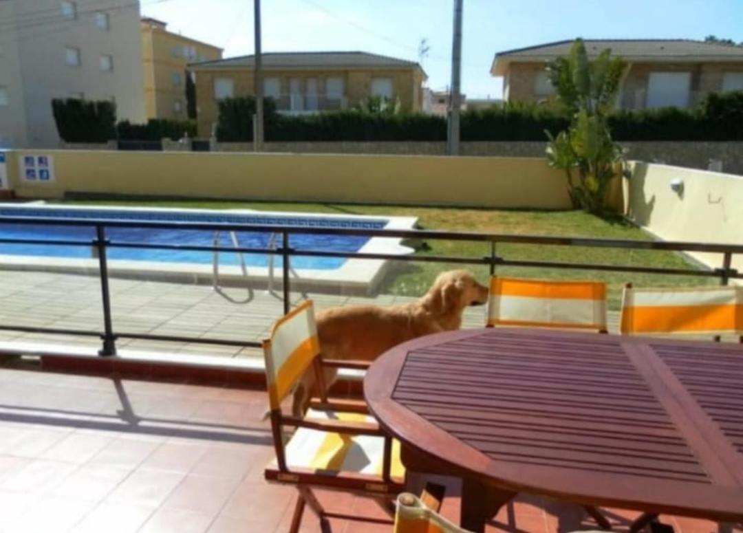 Apartamento Con Terraza Y Acceso Directo A La Piscina Y A 50 M De La Playa Miami Platja  Exterior foto