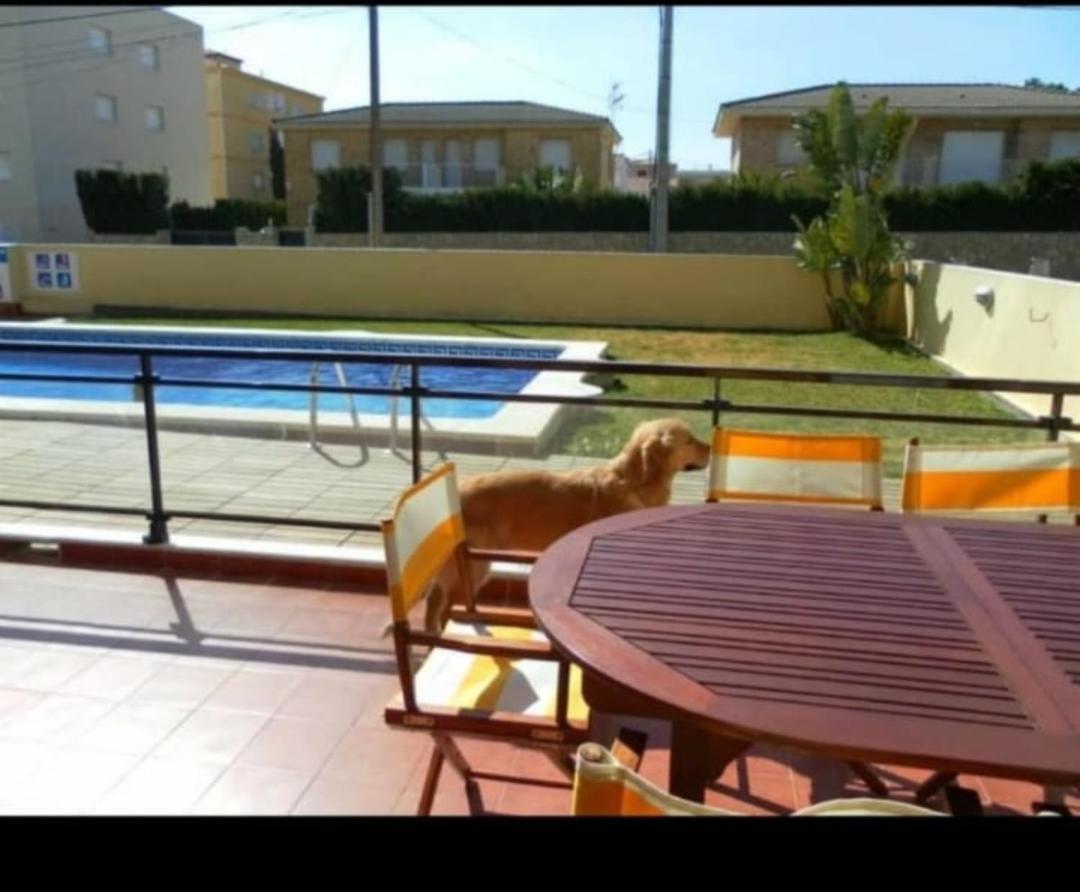 Apartamento Con Terraza Y Acceso Directo A La Piscina Y A 50 M De La Playa Miami Platja  Exterior foto
